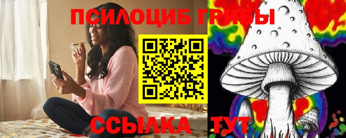 Псилоцибиновые грибы Cubensis Омск