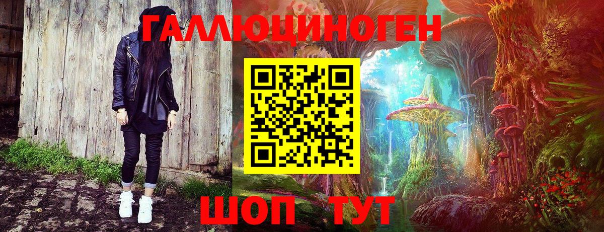 Омск  Галлюциногенные грибы GOLDEN TEACHER  Вход с VPN  Псилоцибиновые грибы Psilocybe 